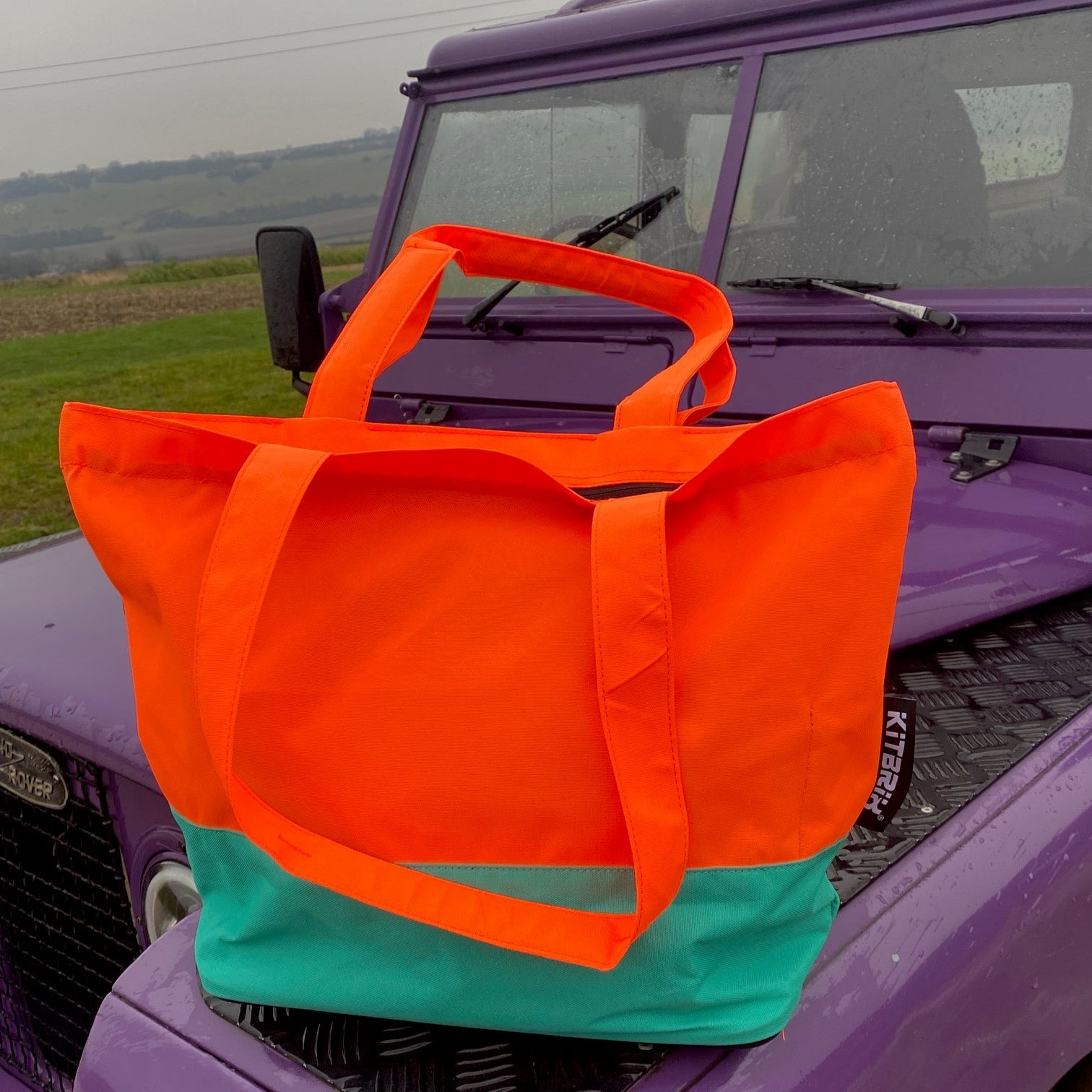 Sighting tote bag hanging from a purple vehicle door